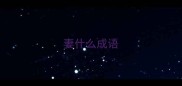 妻什么成语