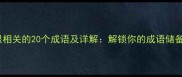 跟眼相关的20个成语及详解解锁你的成语储备库