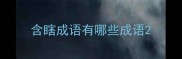 含瞎成语有哪些成语
