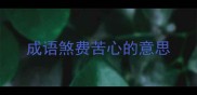 成语煞费苦心的意思