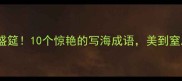 海天盛筵10个惊艳的写海成语美到窒息