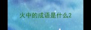 火中的成语是什么
