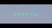 成语收获什么