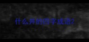 什么并的四字成语