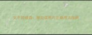 文不的成语常见误用与正确用法指南