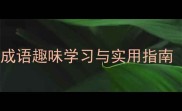 趣味成语接龙大全略字成语趣味学习与实用指南附200例常见略写形式