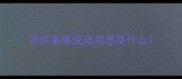 银装素裹成语意思是什么