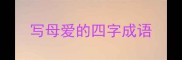写母爱的四字成语