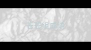 苍苍组成语