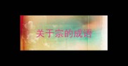 关于宗的成语