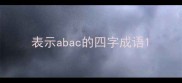 表示abac的四字成语
