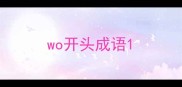 wo开头成语