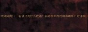 成语谜题一羽轻飞是什么成语羽毛相关的成语有哪些附详细