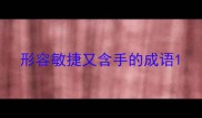 形容敏捷又含手的成语