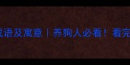 带狗字的15个成语及寓意养狗人必看看完秒变社交达人
