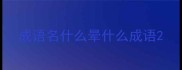 成语名什么晕什么成语