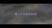 第二个字是雨成语