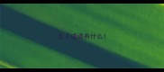 五子成语有什么