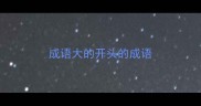 成语大的开头的成语