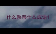 什么熟蒂什么成语